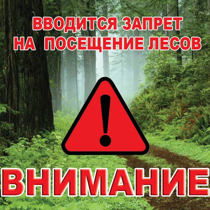О запрете посещения лесов.